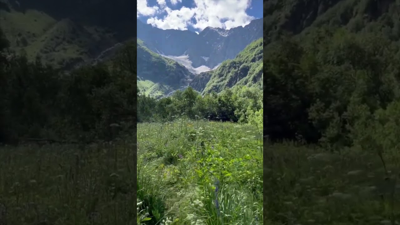 𝓦hat are fears afraid 𝓞f? 