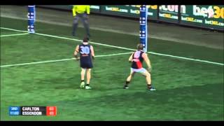 Essendon Vs Carlton 2013 Round 22
