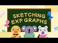 Grade 10&11 Maths: Sketching exponential graphs and reflections in x-axis