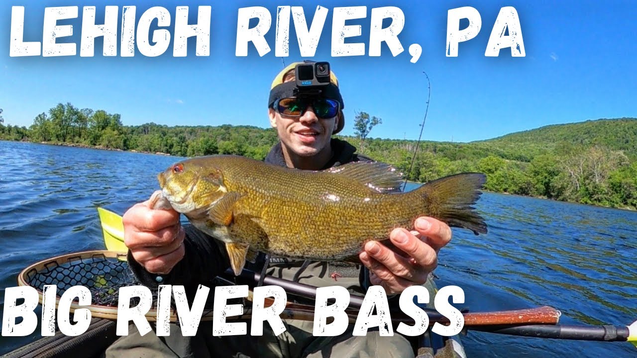 Lehigh River BASS Fishing (Topwater Action) Bass Manager The Best