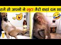 इन जानवरों से पंगा ना बाबा ना 🤣😜.... Funny Animals Video 2022 (Part-3)