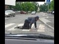 Суровые харьковские пешеходы или 4 нарушения ПДД за полторы минуты