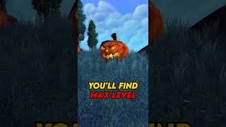 Here’s one world of Warcraft fact you didn’t know! Day 450 #warcraft #worldofwarcraft