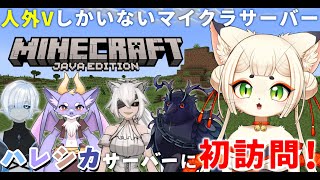 【Minecraft/マインクラフト】人外Vtuberしか居ない？！ ハレシカサーバーに初訪問！です🌸【実況】