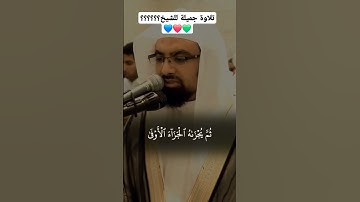 سورة النجم || من يعرف اسم الشيخ فليكتب في التعليقات مشكوراً❤️💙💙💚 #تلاوة #المصحف