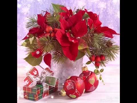 С РОЖДЕСТВЕНСКИМ СОЧЕЛЬНИКОМ!РАДОСТНОГО И ВОЛШЕБНОГО РОЖДЕСТВА!🎄👼💥🎁🎅🧁🌰🍊#поздравления #срождеством