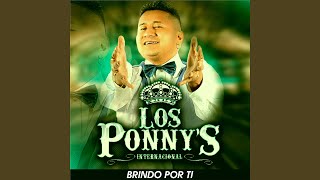 Video thumbnail of "Los Ponnys Internacional - Comadrita"