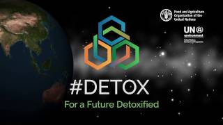 Introduction to the 2017 Rotterdam Convention COP: for a future detoxified #detox