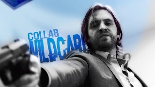 MultiFandom Collab - Wildcard