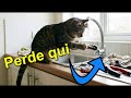 Come riparare un rubinetto che gocciola