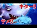 サメついにキター!! サメになっていろんなものを食べまくる!? 弱肉強食ゲーム - Tasty Blue 実況プレイ #9