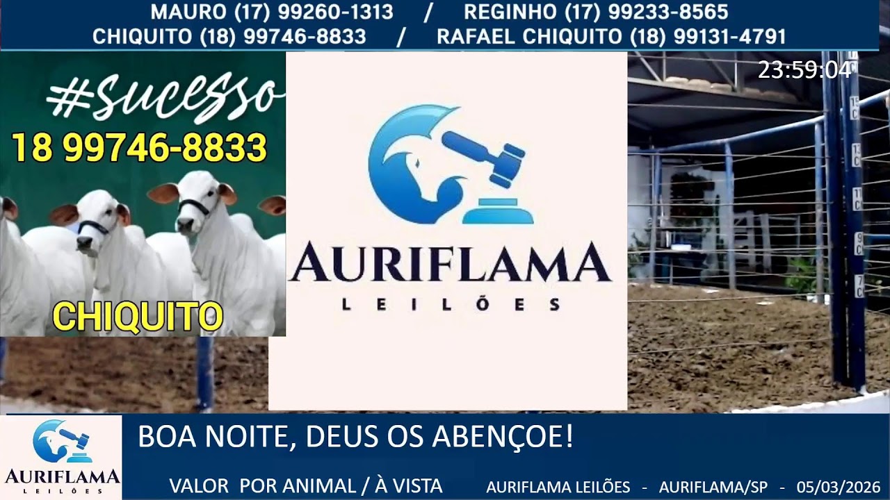 LEILÃO AURIFLAMA LEILÕES - 05/03/2026 - AURIFLAMA/SP - LEILÃO