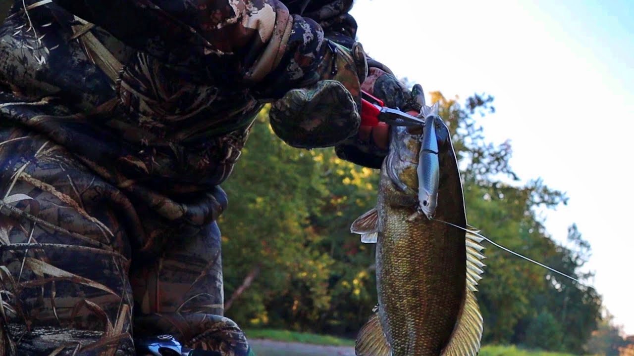 Fishing a 3 Glide Bait For River Smallmouth! YouTube