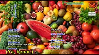 SPESIAL : Jadilah Vegan, Ciptakan Perdamaian. Hanya Itu Saja ‼