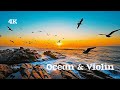 4K Ocean Waves &amp; Seagulls with Soft Violin Music 🎻 Relaxing Sunset (1 Hour)