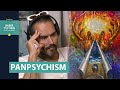 Is EVERYTHING CONSCIOUS!? | Russell Brand & Prof. Philip Goff