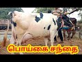 இந்த வாரம் தரமான மாடுகள் பொய்கை சந்தை|vellore poigai santhai..