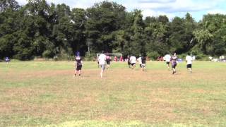 Stuyvesant Ultimate 2014