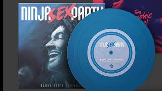 Danny Don't You Know (Demo) - Ninja Sex Party (NSP) Vinyl audio rip