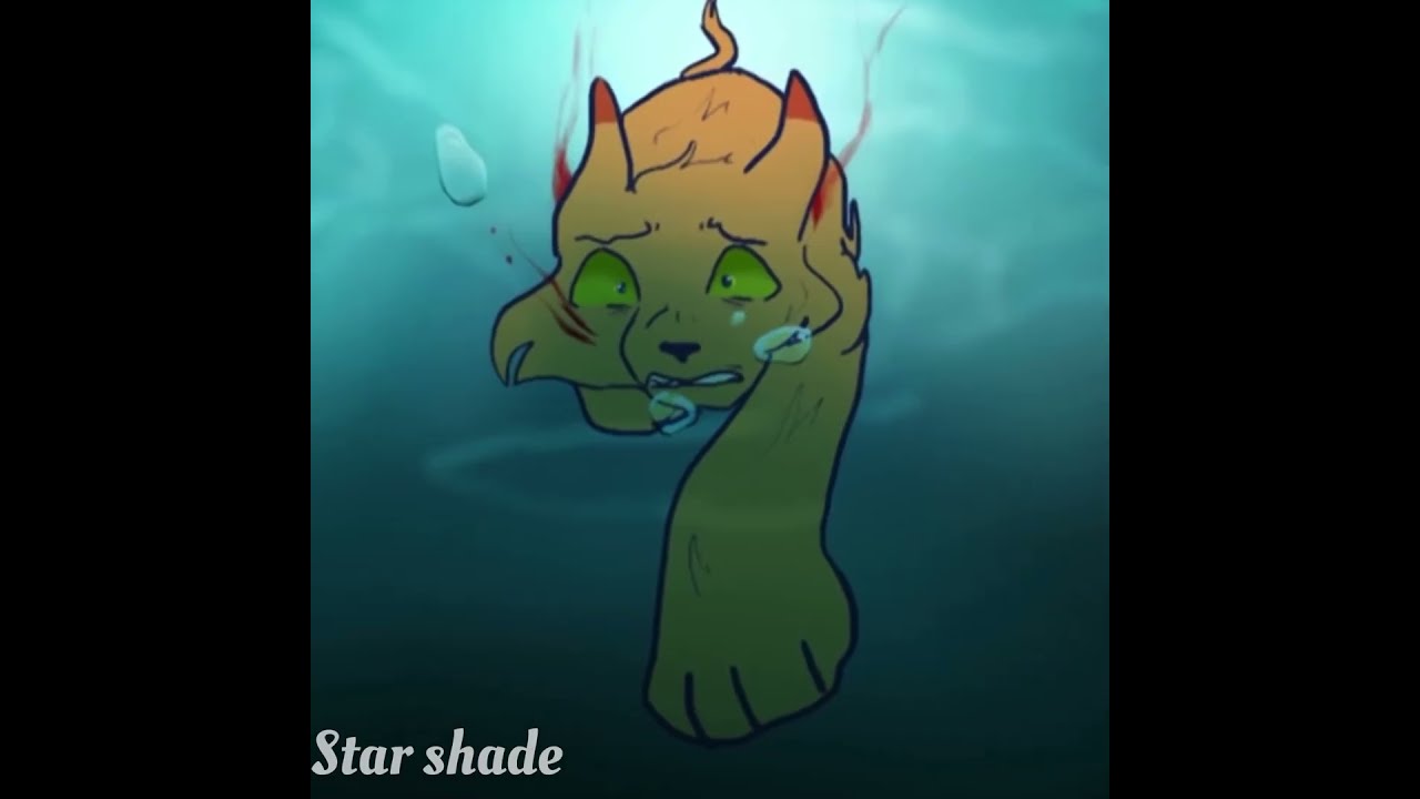 Warrior Cats Edit Do You Get Deja Vu Warriorcats Dejavu Oliviarodrigo 