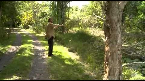 Introduction to Permaculture Design DVD Trailer with Geoff Lawton, PRI Managing Director