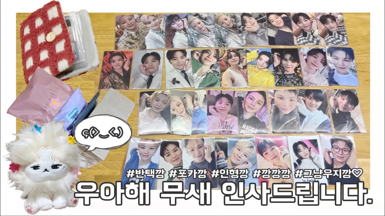 ☆캐럿로그彡 늦덕이지만 포카는 모으고 싶어, 일단 우아해부터 시작하자 | #반택깡 #포카깡 우지 포카 인형 예뾰 바인더 #세븐틴 #SVT