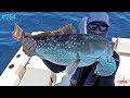 Fishing in Florida Gulf of Mexico Crooked PilotHouse boat Clearwater Reef fishing