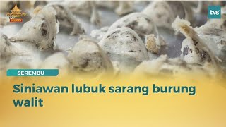 Menarik DUN Sarawak: Siniawan lubuk sarang burung walit
