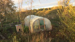 Den Light At The Last Homely House, The Poultry And The Treehouse 4