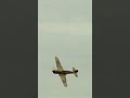 Sound on! Flat out Friday with the Pay's P-40 🔥. #warbirds #fighterpilot #p40