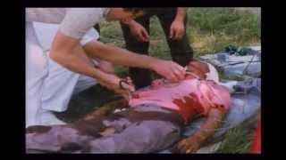 海外の交通事故 グロ注意 衝撃映像 Youtube 海外の交通事故 グロ注意 衝撃映像 Youtube