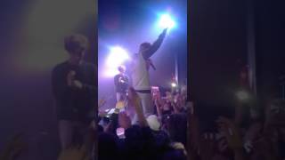 OGNT - Live Sfera Ebbasta (senza autotune) Crazy Bull di Genova