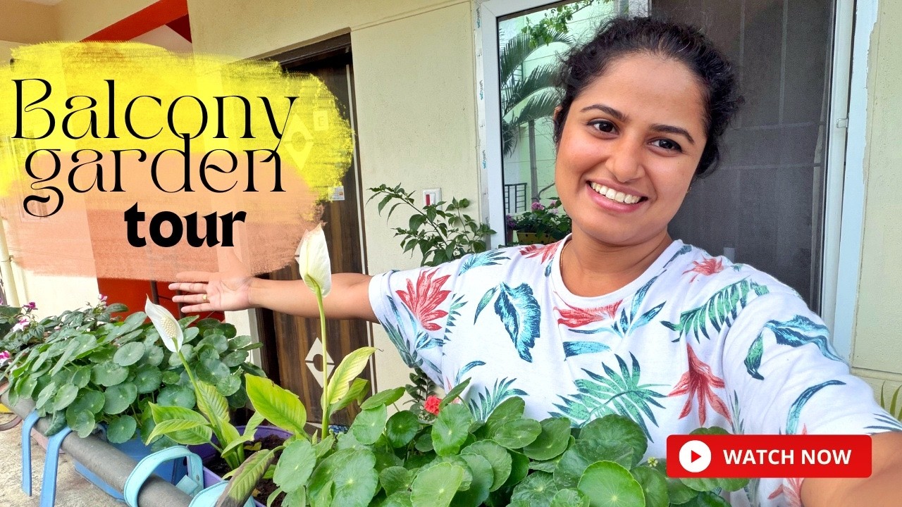 Apartment Balcony Garden Tour | Care Tips | Bangalore | Malayalam #plantcare #tour #balconygarden
