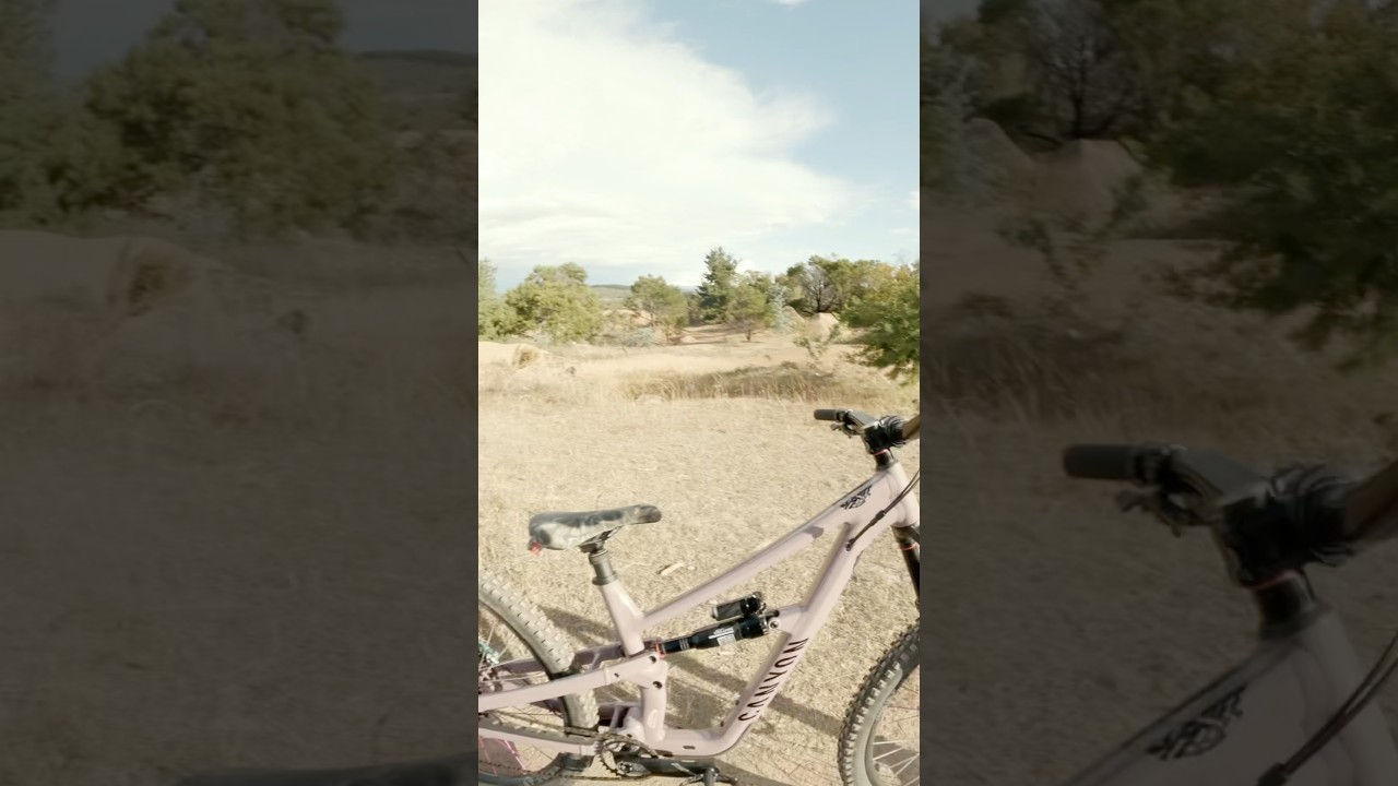 CANYON BIKES NEW SPECTRAL AL