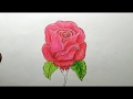 35+ Ideas For Beginner Simple Flower Pencil Drawing
