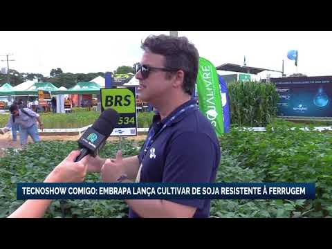 Tecnoshow Comigo: Embrapa lança cultivar de soja resistente à ferrugem | Canal Rural