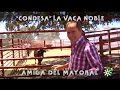 Toro semental de Castillo de Azuel de vacaciones y vaca brava amiga (2/2) | Toros desde Andalucía