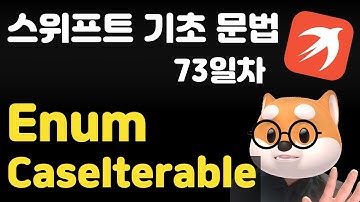 스위프트 기초 문법 - 73일차 / Enum CaseIterable