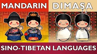 From Beijing to Assam: The Linguistic Link Between Mandarin and Dimasa