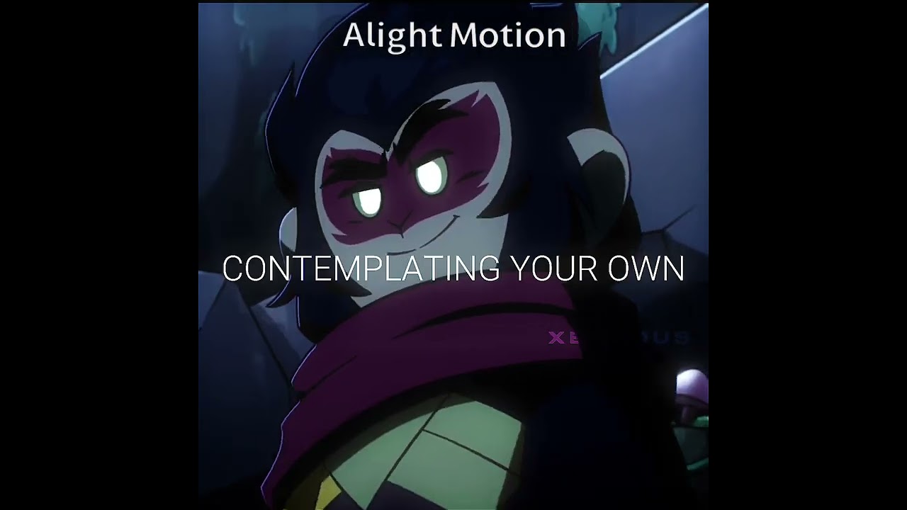 Don’t you dare forget the sun - Six-Eared Macaque | 