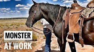 HOW BIG IS MONSTER??? DOES HE RIDE???