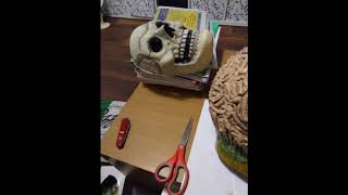 Mars Attacks Costume