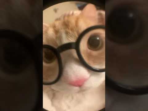 مرحبا انا نور اتمنى تعجبكم فيديوهات