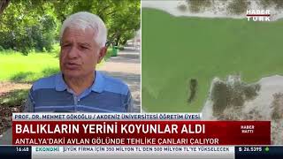 Avlan Gölü Kuruyarak Otlak Oldu