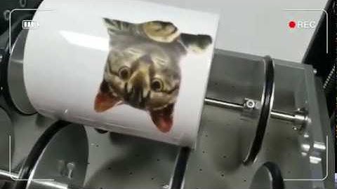 CJ-UV3560D printer with rotary for mug printing