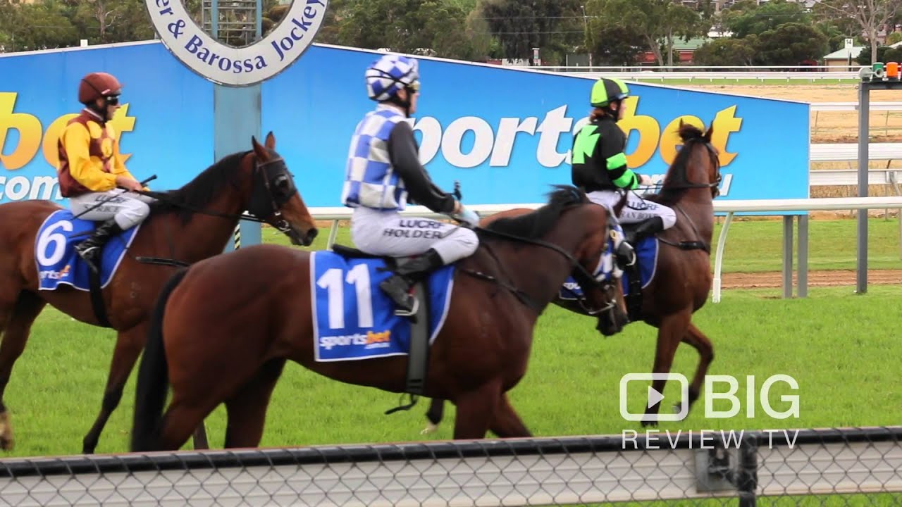 Gawler & Barossa Jockey Club, a Racing Club in Adelaide for Horse Racing YouTube