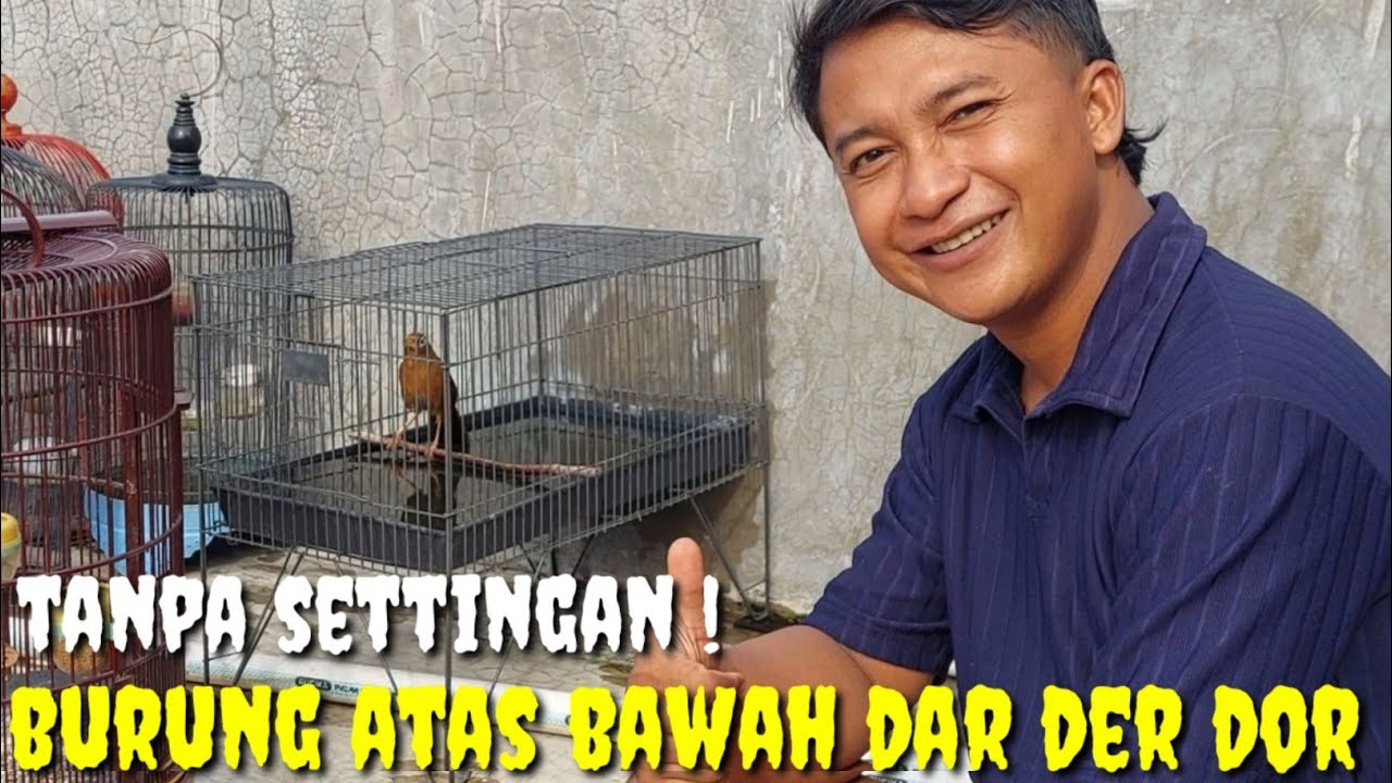 YAKIN GAK TERTARIK ?! BEUH..KALAU LIAT LANGSUNG MAH BIKIN NGILER EUYY