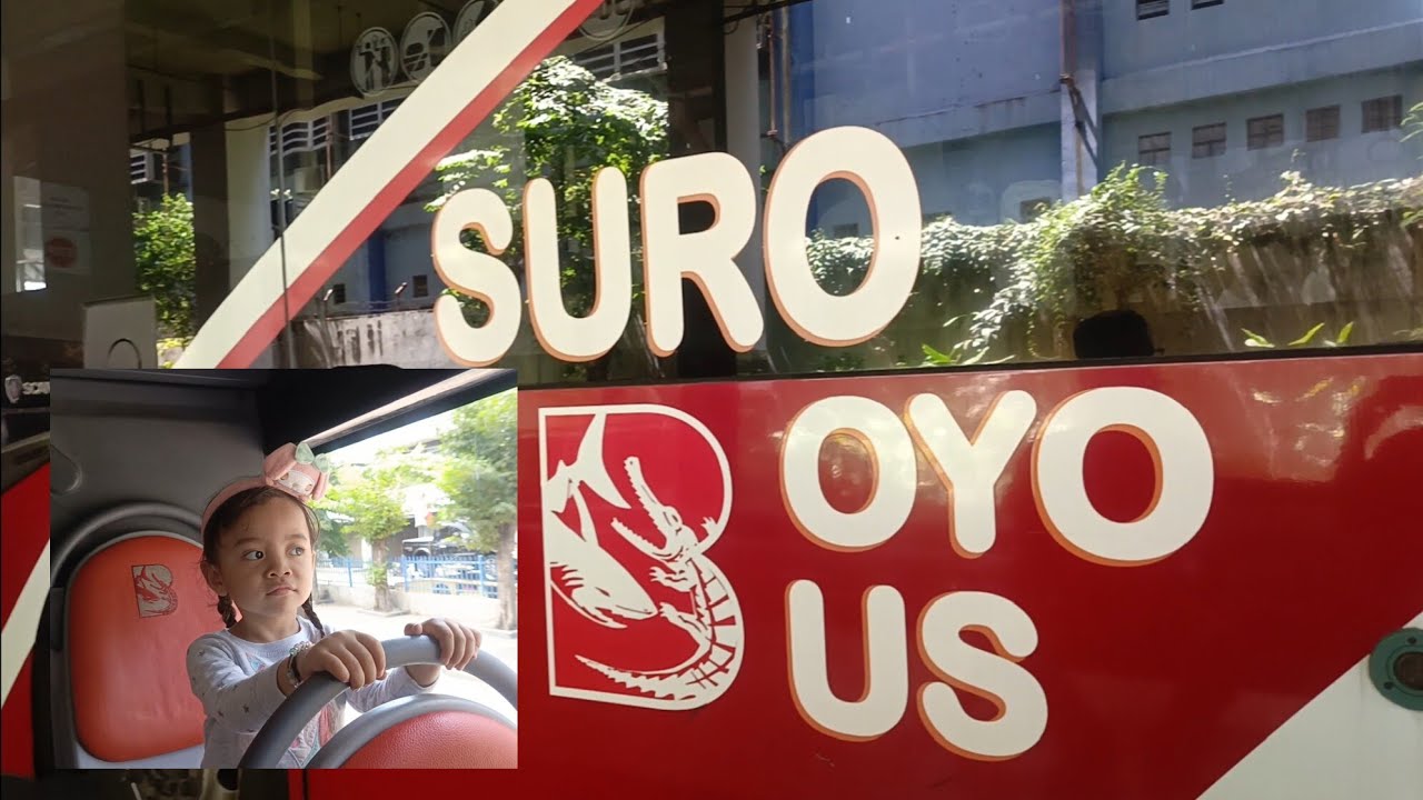 Keliling Surabaya pakai Wira Wiri dan Suroboyo Bus || Shafa Mikhayla