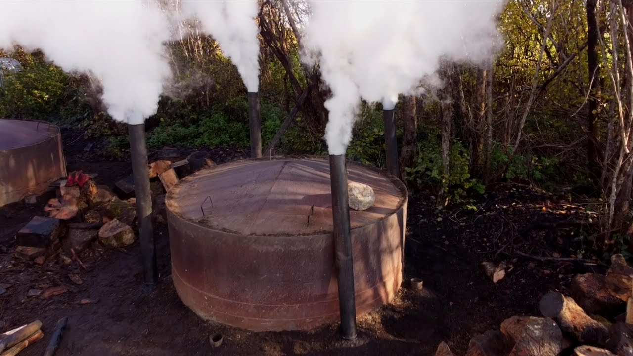 How can biochar help improve forestry sustainability and grow healthier ...