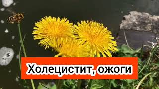 Хорошо убирает боль в суставах и не только Отличное народное средство от различных болезней #масло